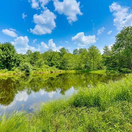 Secluded Poconos Cabin With Fire Pit On 75 Acres! East Stroudsburg Exteriör bild